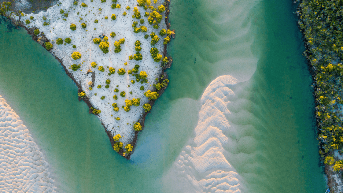 Virescent Ventures photo